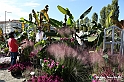 VBS_2325 - FloReal 2021 alla Palazzina di Caccia di Stupinigi